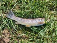 430294502 391071070523018 7879060254075895089 n 1